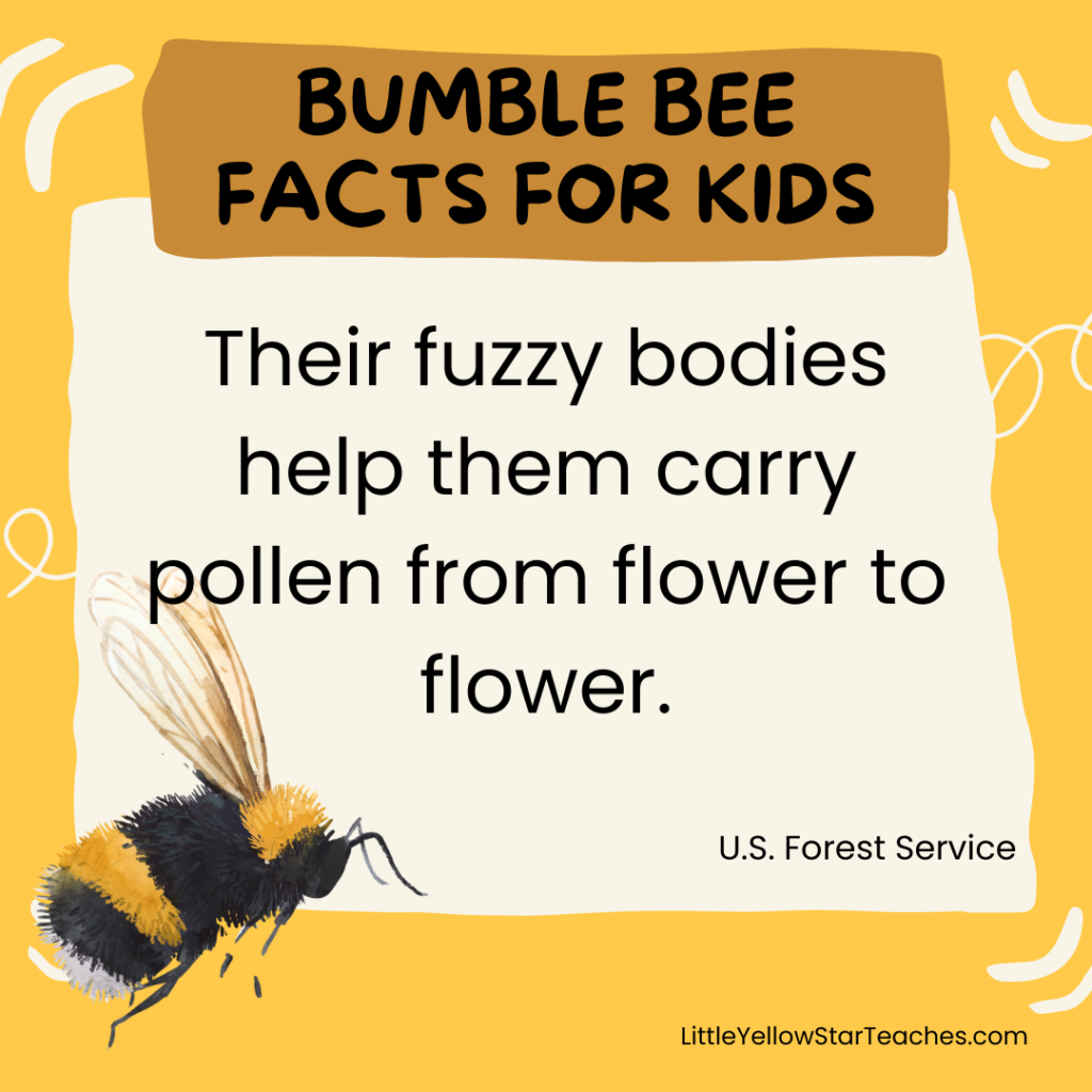 Bumble Bee Facts for Kids