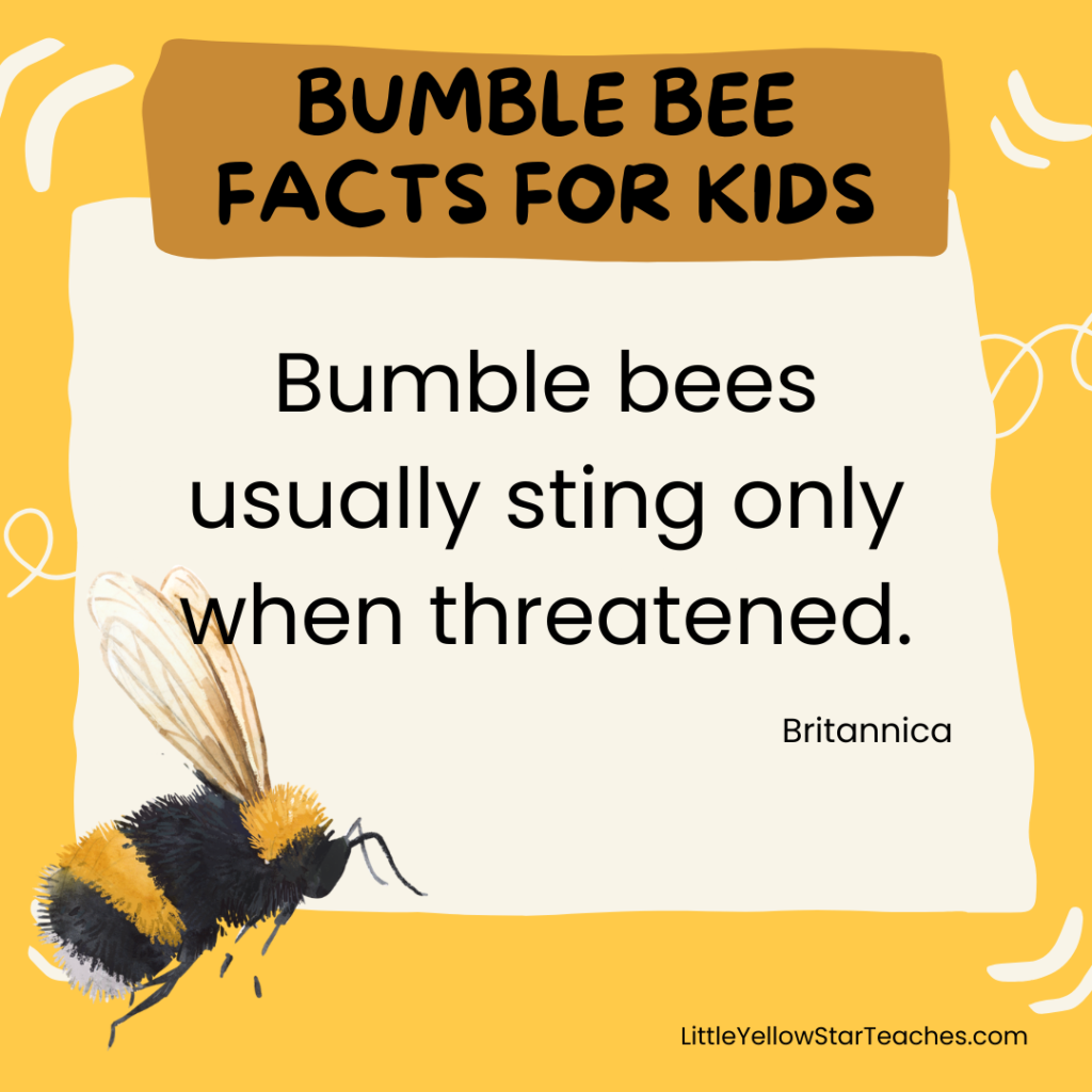 Bumble Bee Facts for Kids