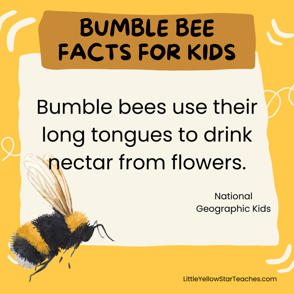 Bumble Bee Facts for Kids
