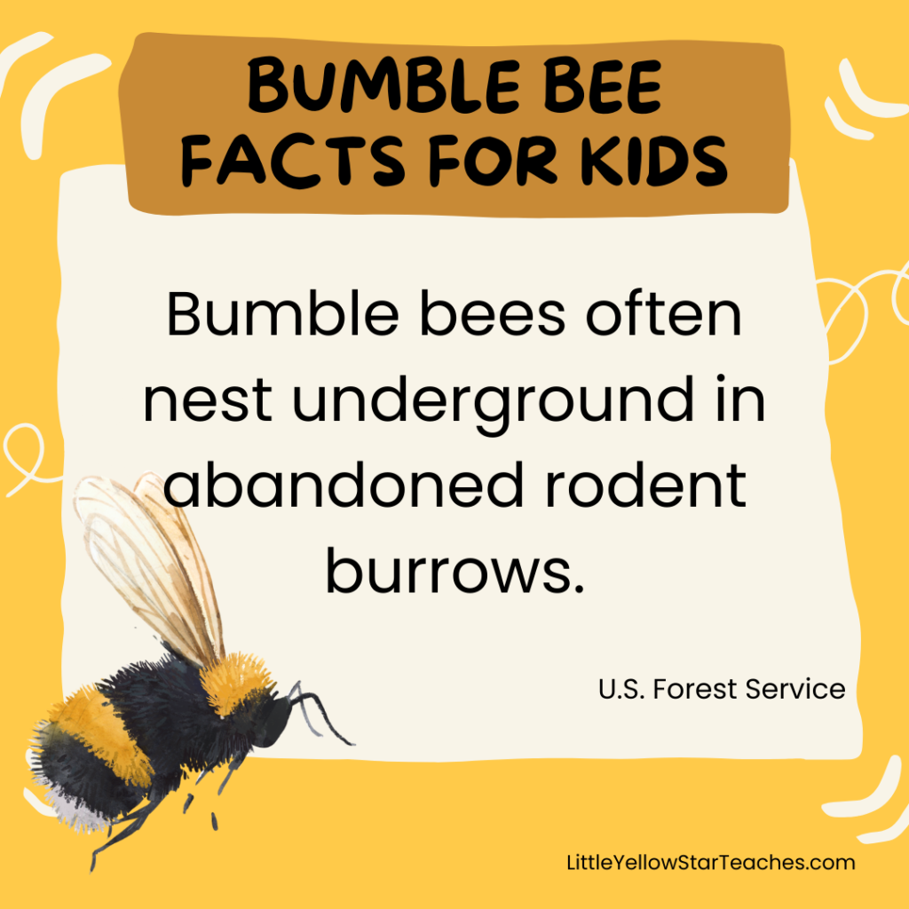 Bumble Bee Facts for Kids