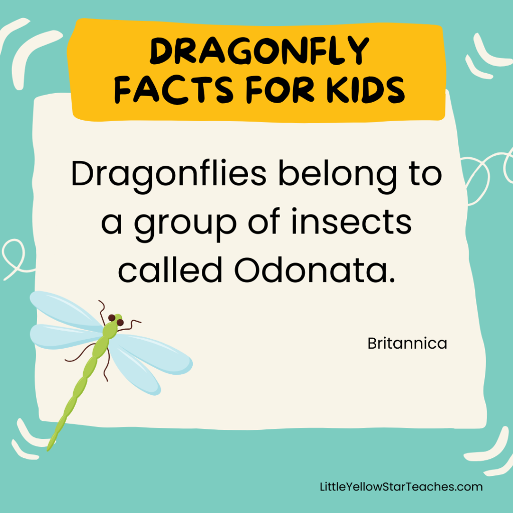 Dragonfly Facts for Kids