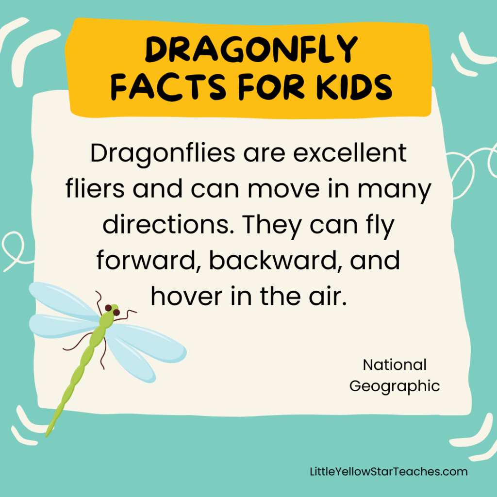Dragonfly Facts for Kids