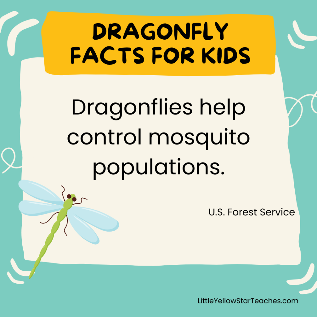 Dragonfly Facts for Kids