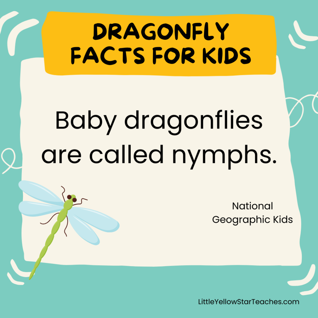 Dragonfly Facts for Kids