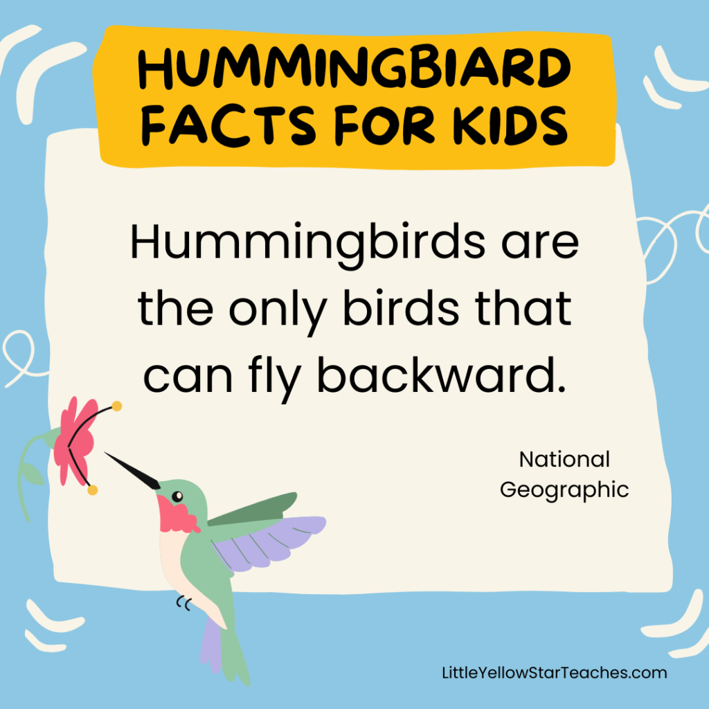 Hummingbird Facts for Kids