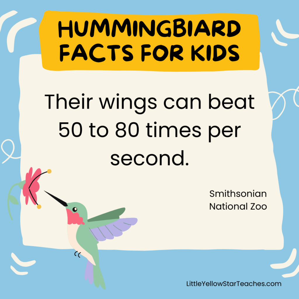 Hummingbird Facts for Kids