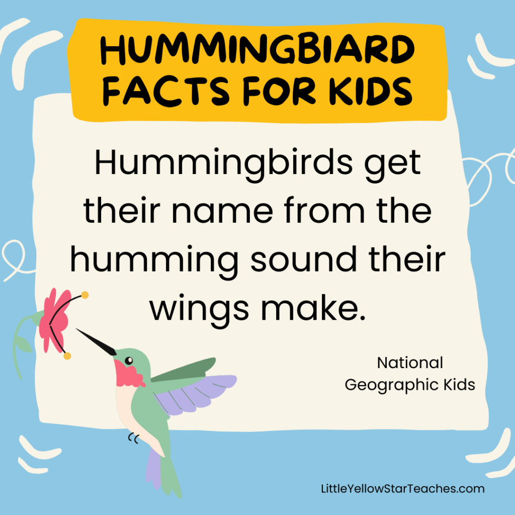 Hummingbird Facts for Kids