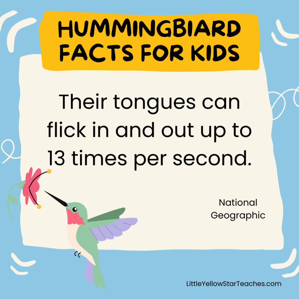 Hummingbird Facts for Kids