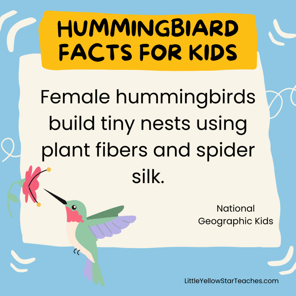 Hummingbird Facts for Kids