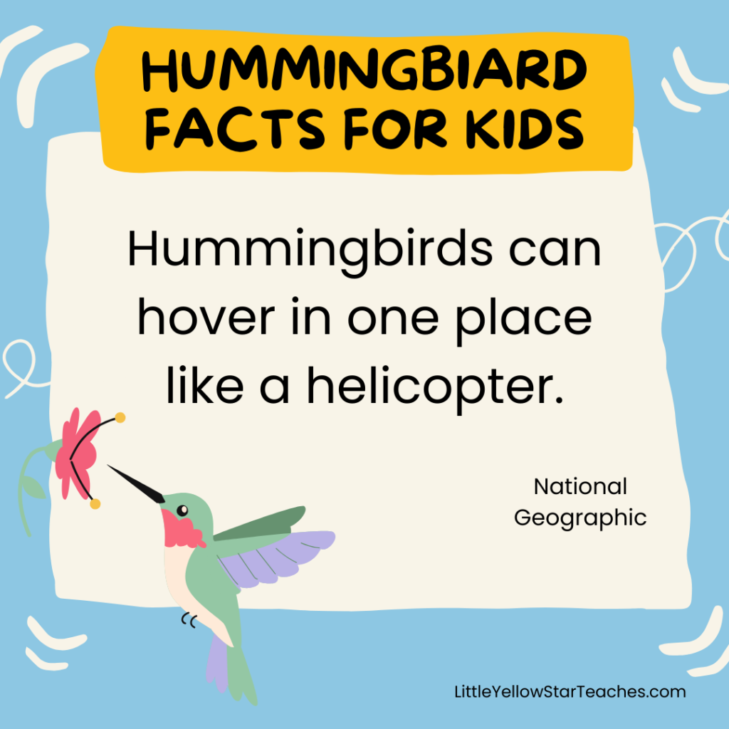 Hummingbird Facts for Kids