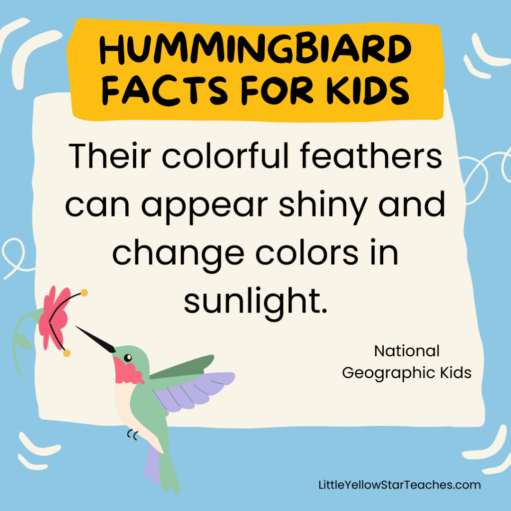 Hummingbird Facts for Kids