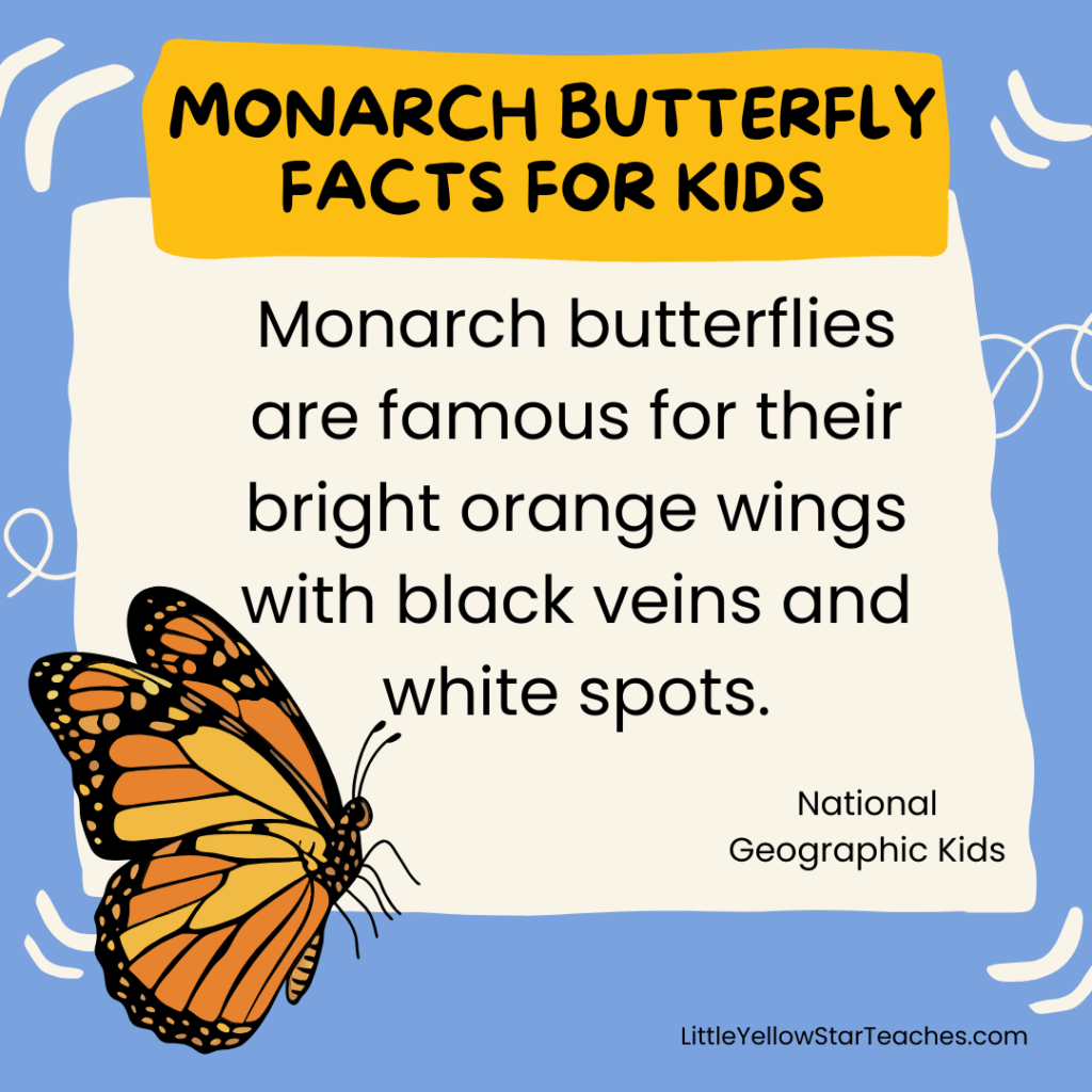 Monarch Butterfly Facts for Kids