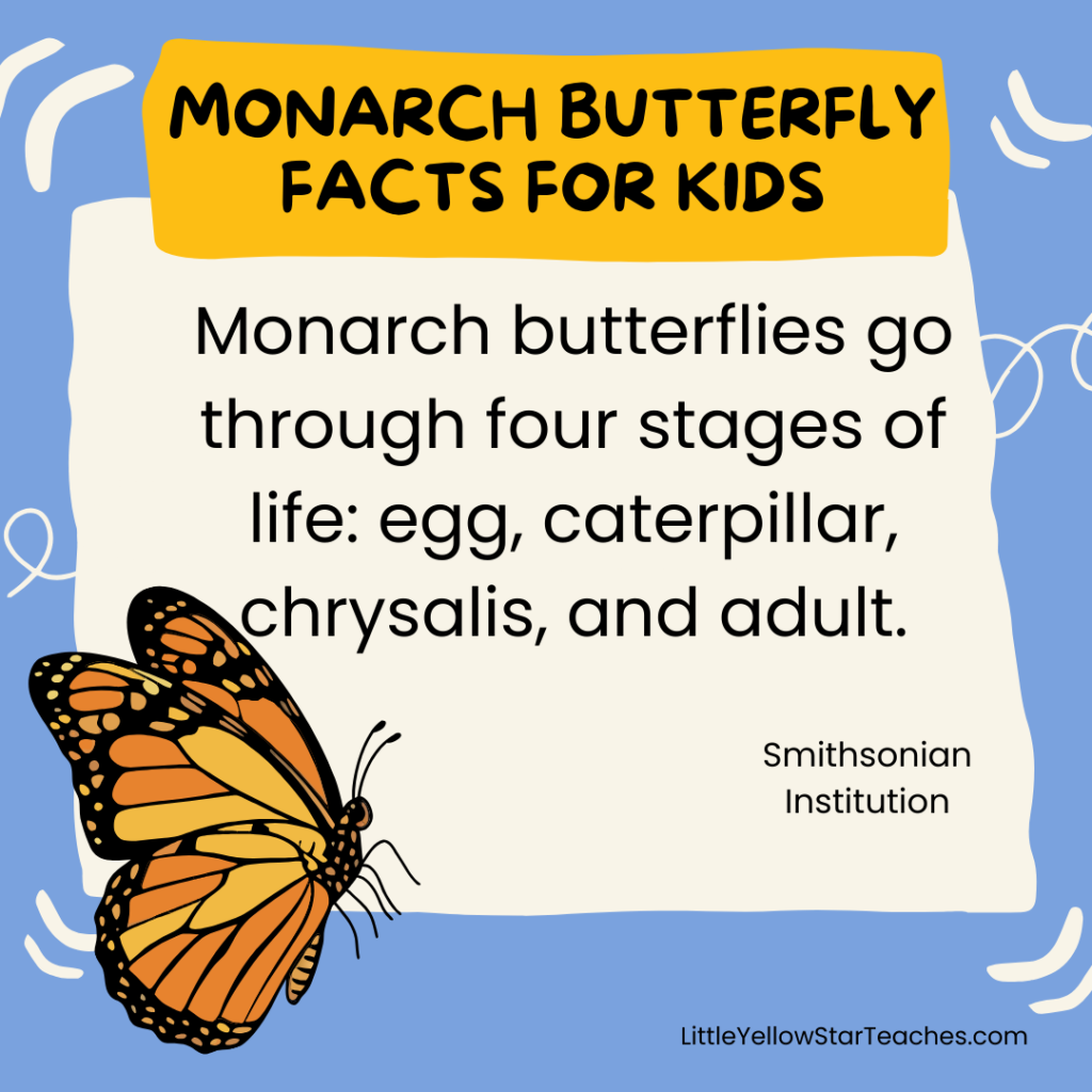 Monarch Butterfly Facts for Kids