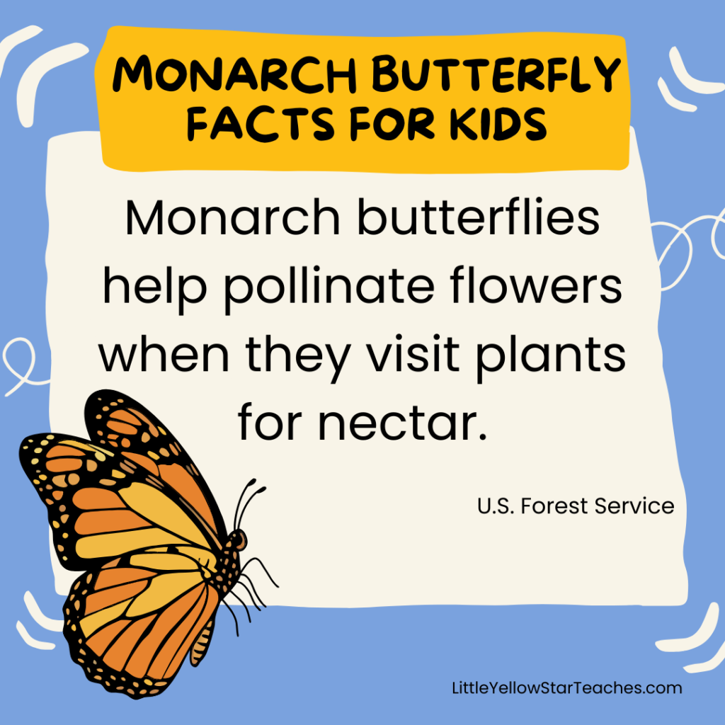 Monarch Butterfly Facts for Kids