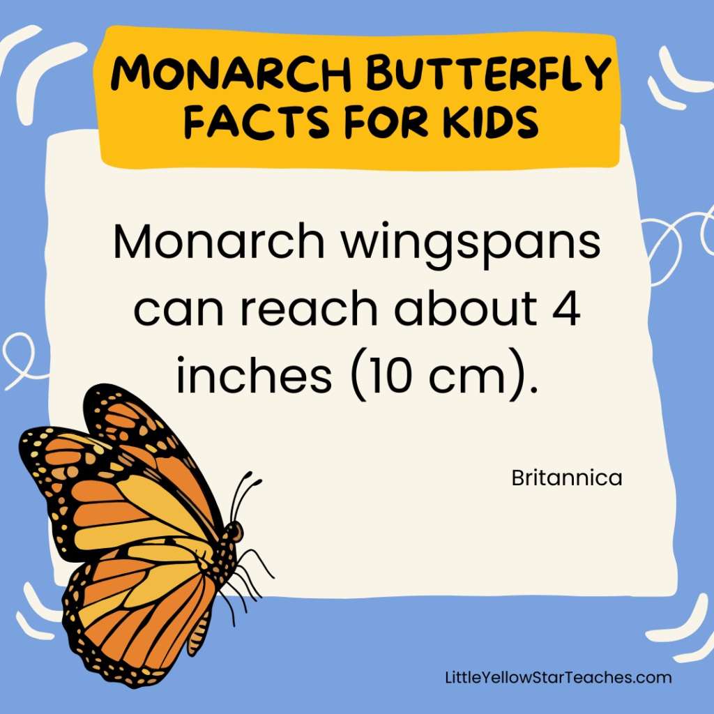 Monarch Butterfly Facts for Kids