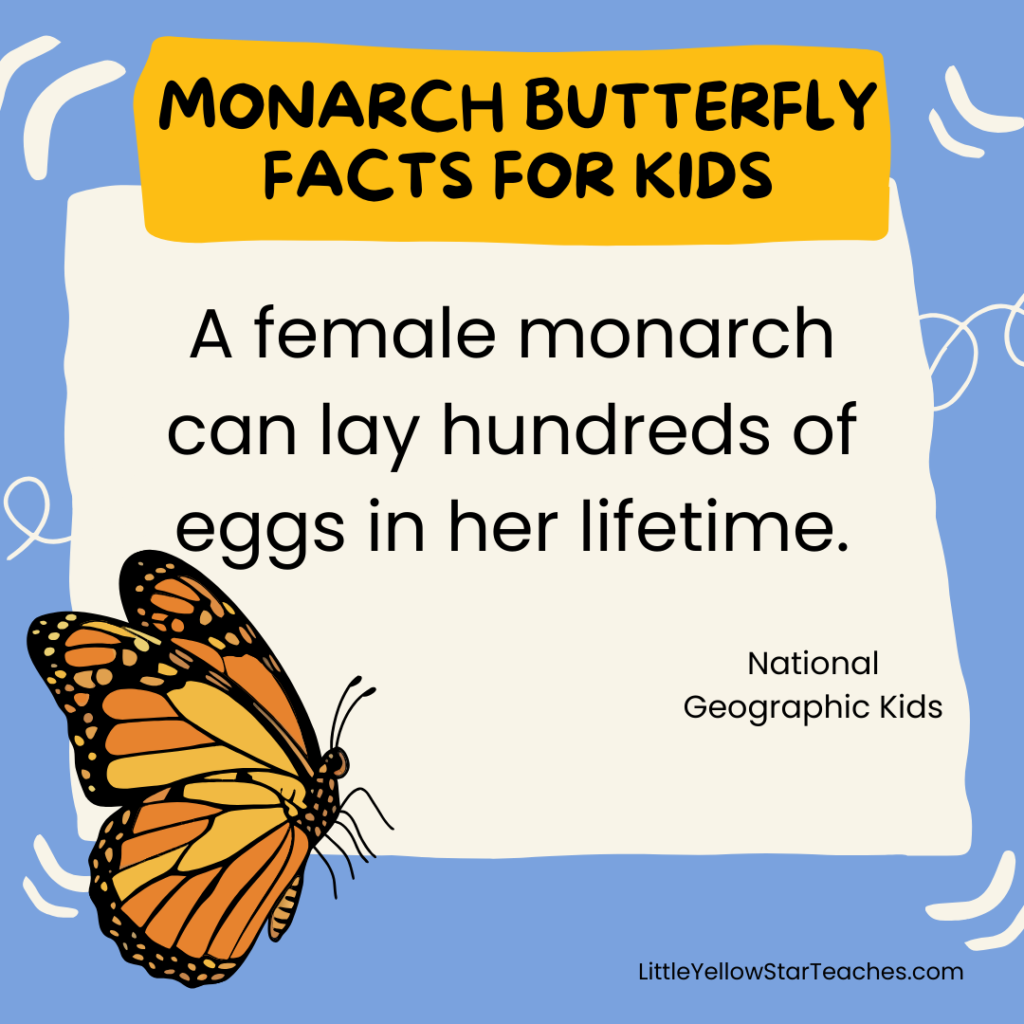 Monarch Butterfly Facts for Kids