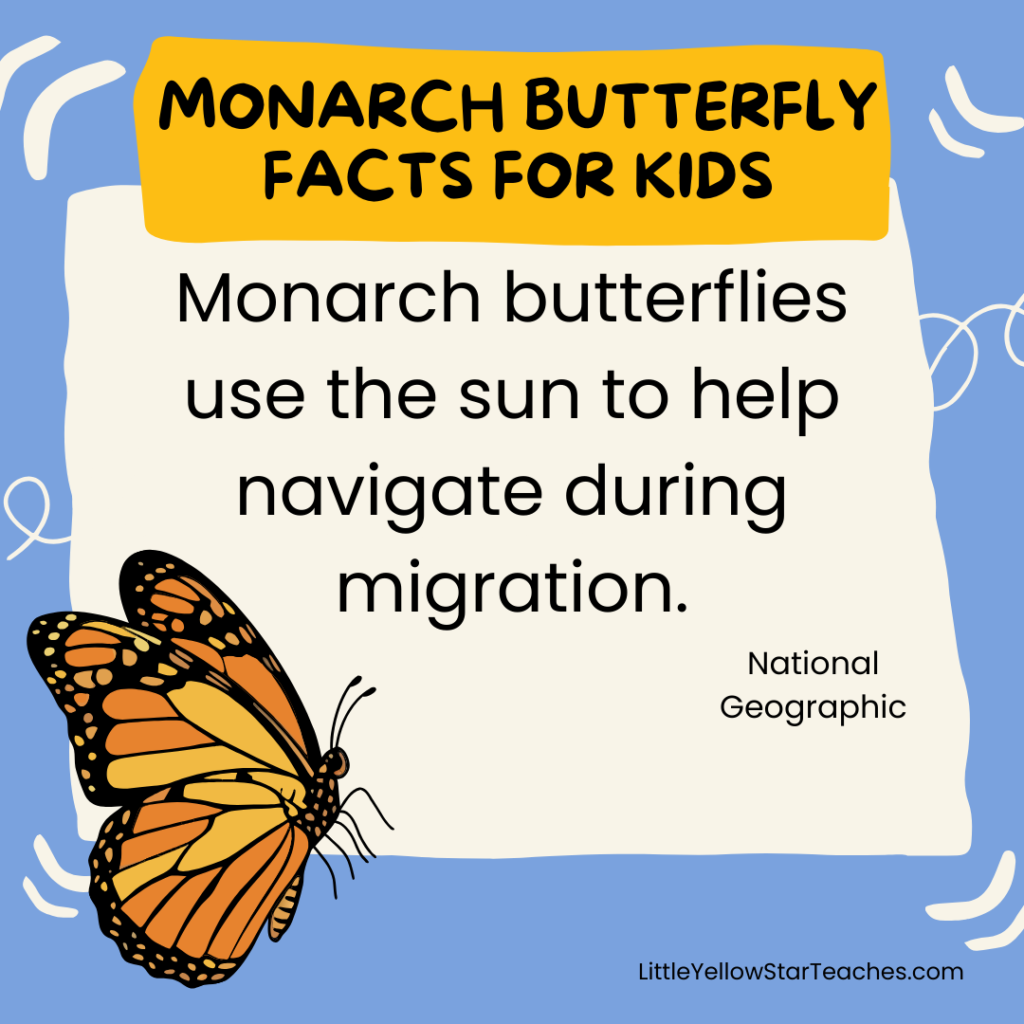 Monarch Butterfly Facts for Kids