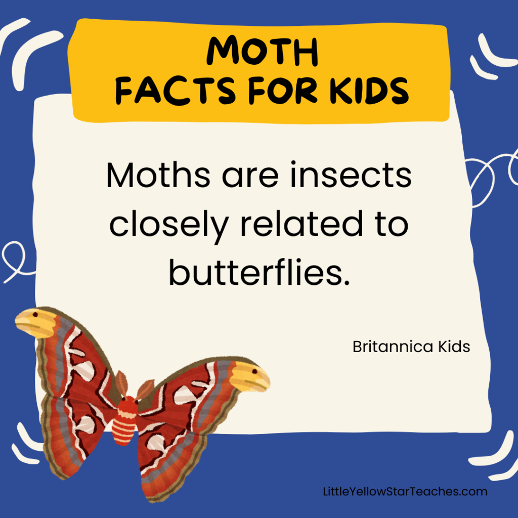 Moth Facts for Kids