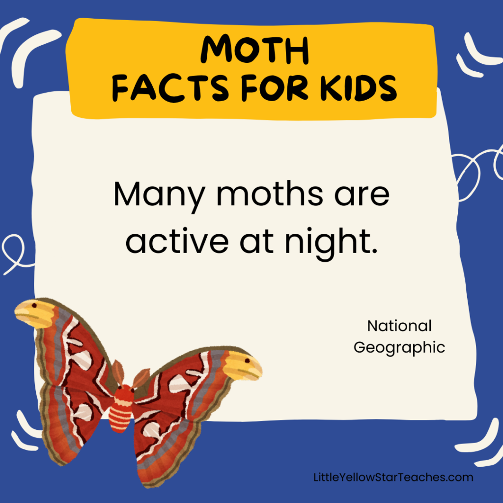 Moth Facts for Kids