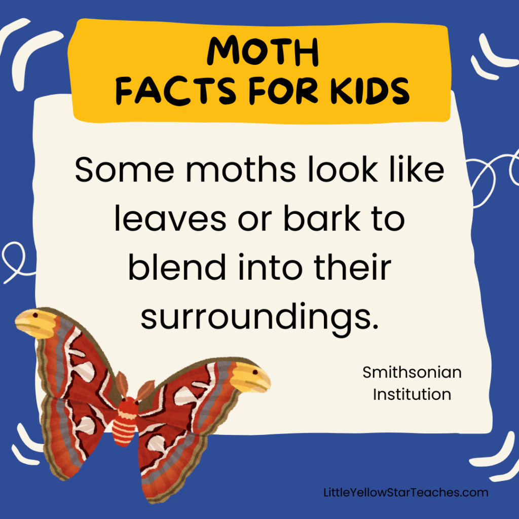 Moth Facts for Kids