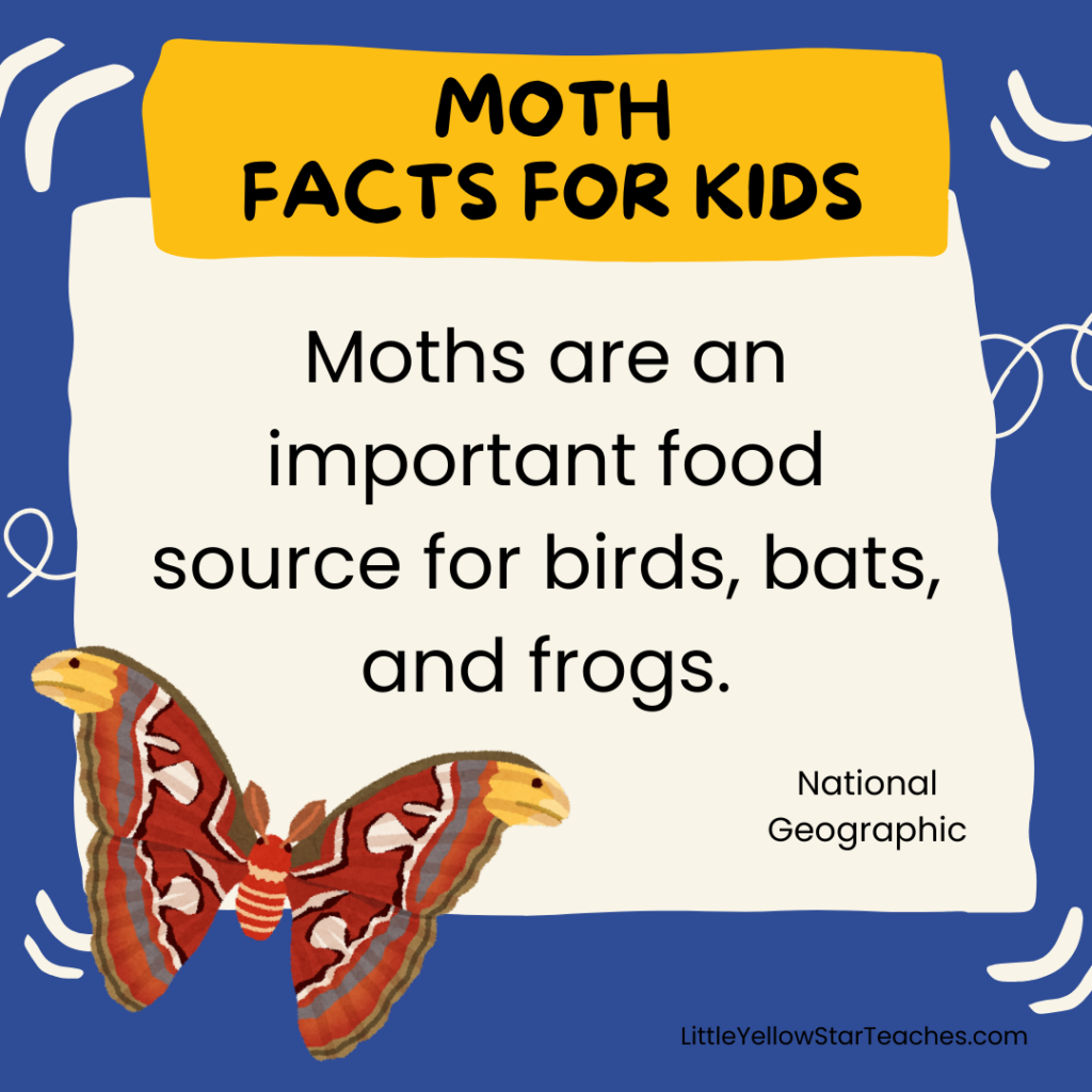 Moth Facts for Kids