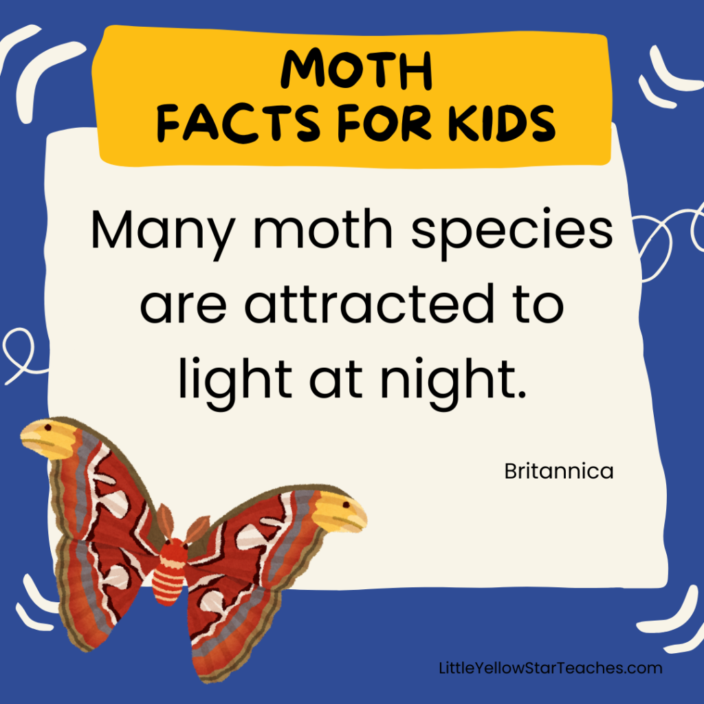 Moth Facts for Kids