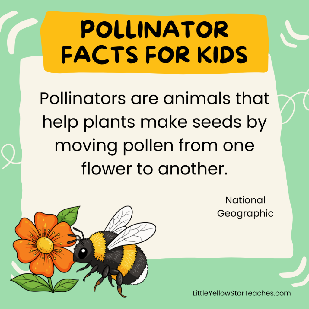Pollinator Facts for Kids