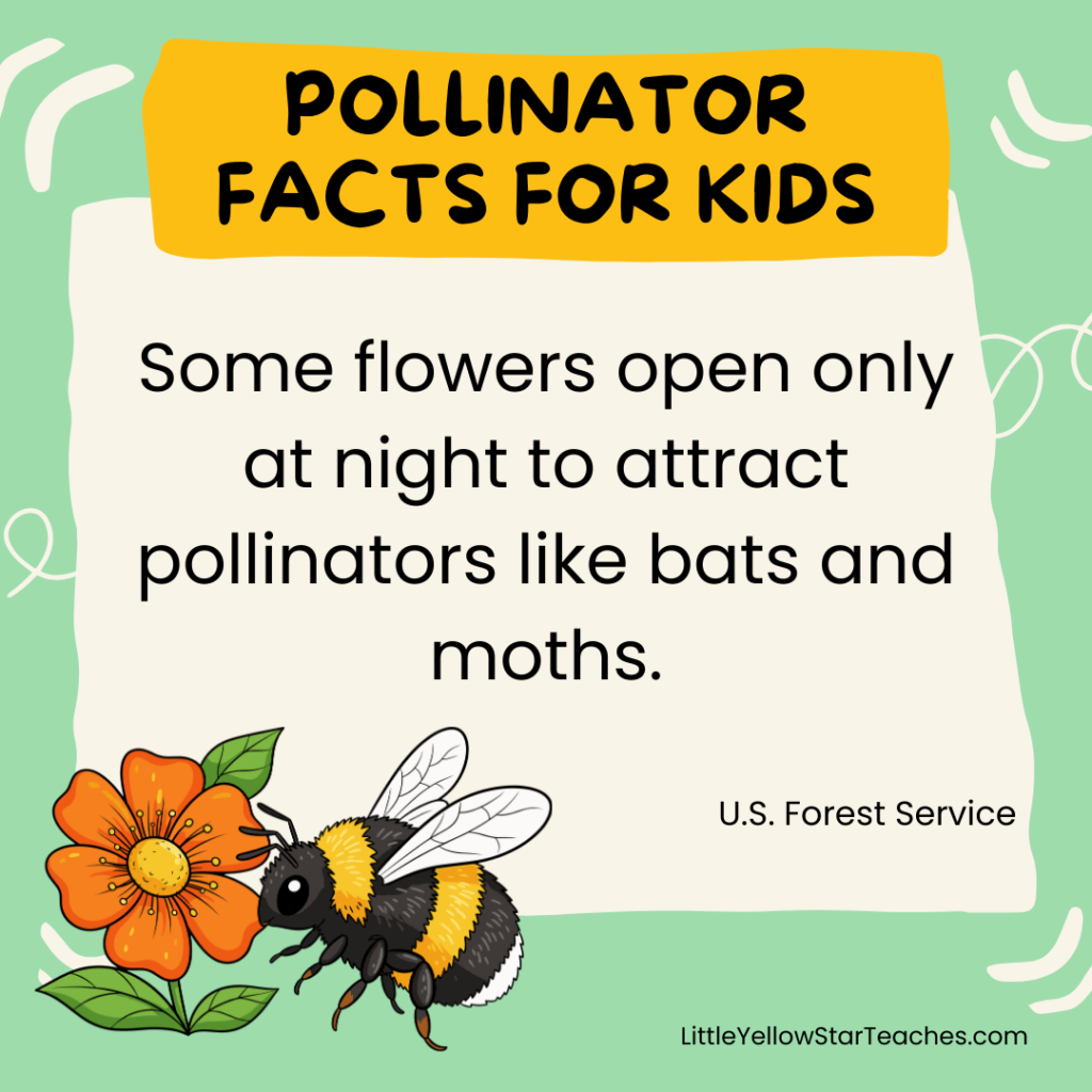 Pollinator Facts for Kids