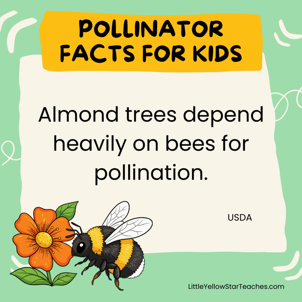 Pollinator Facts for Kids
