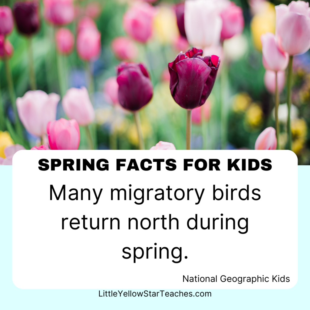 Spring Facts for Kids
