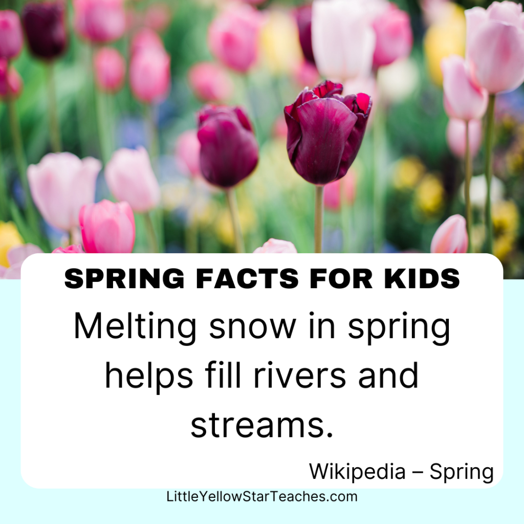 Spring Facts for Kids