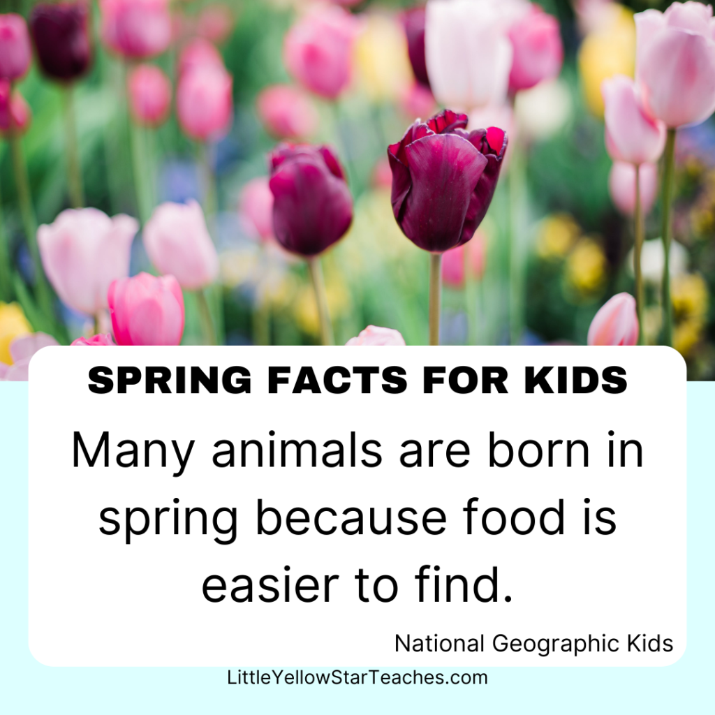 Spring Facts for Kids