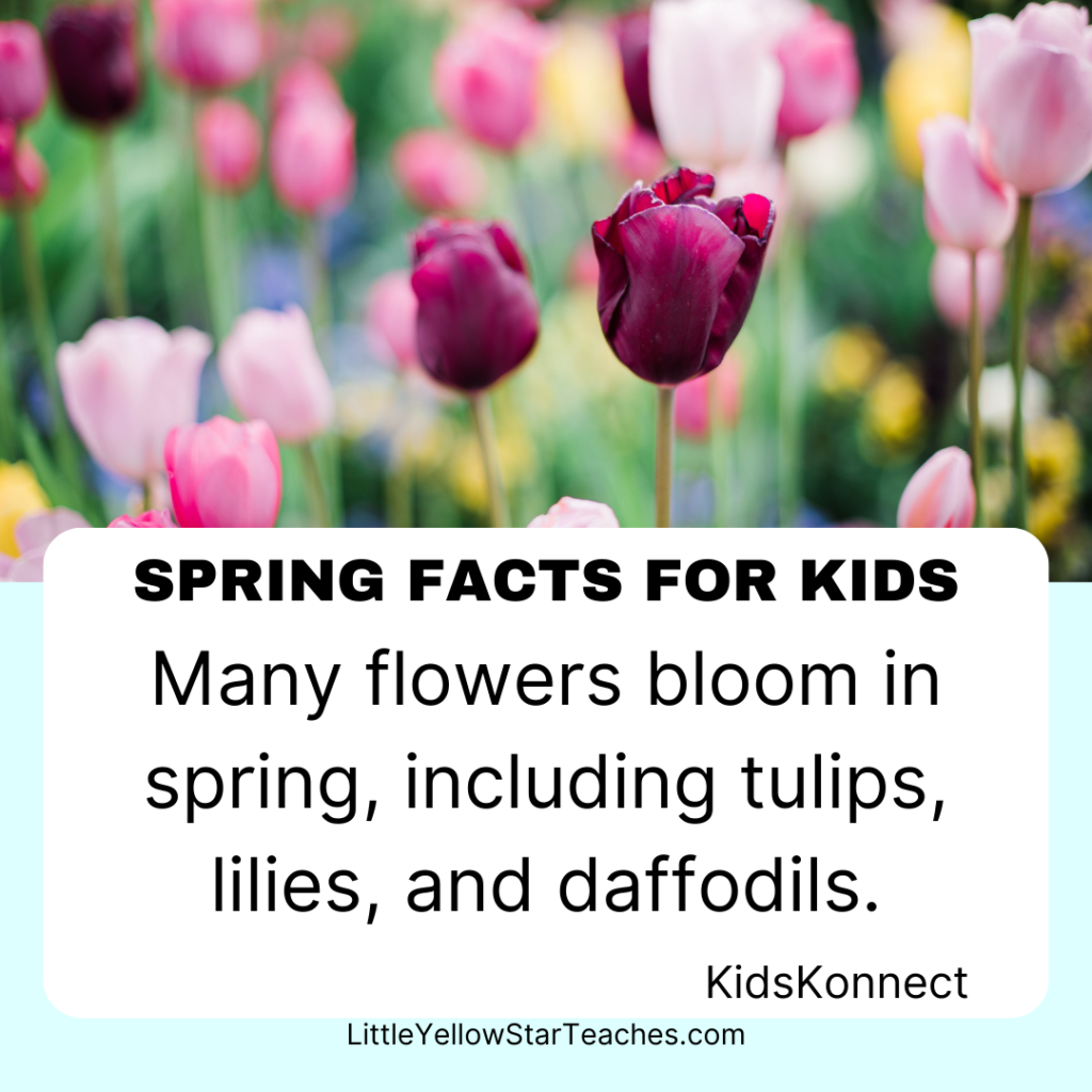 Spring Facts for Kids