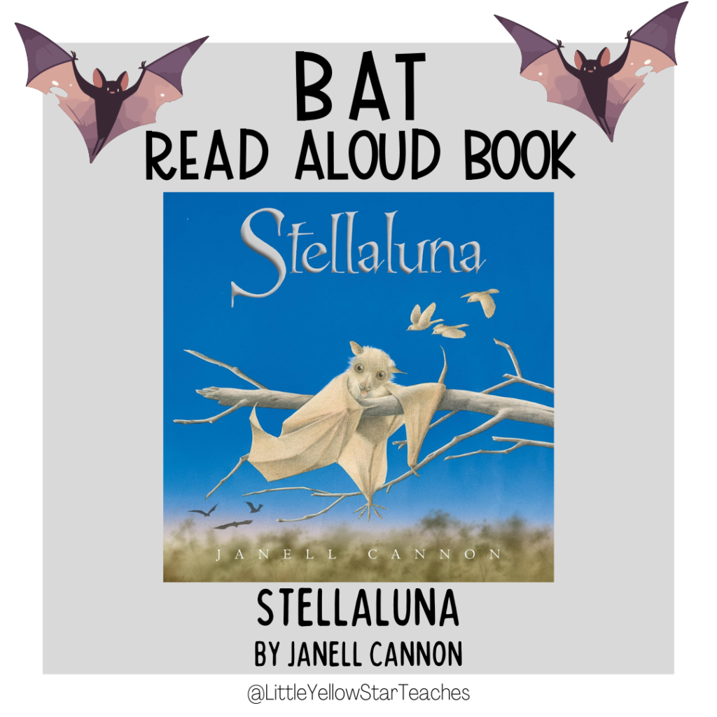 Bat Books for Kids
