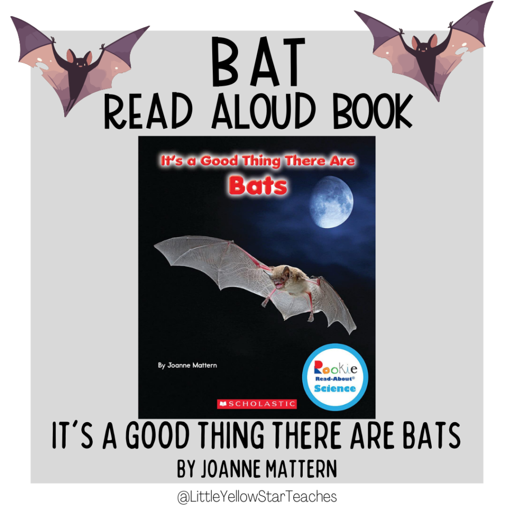 Bat Books for Kids