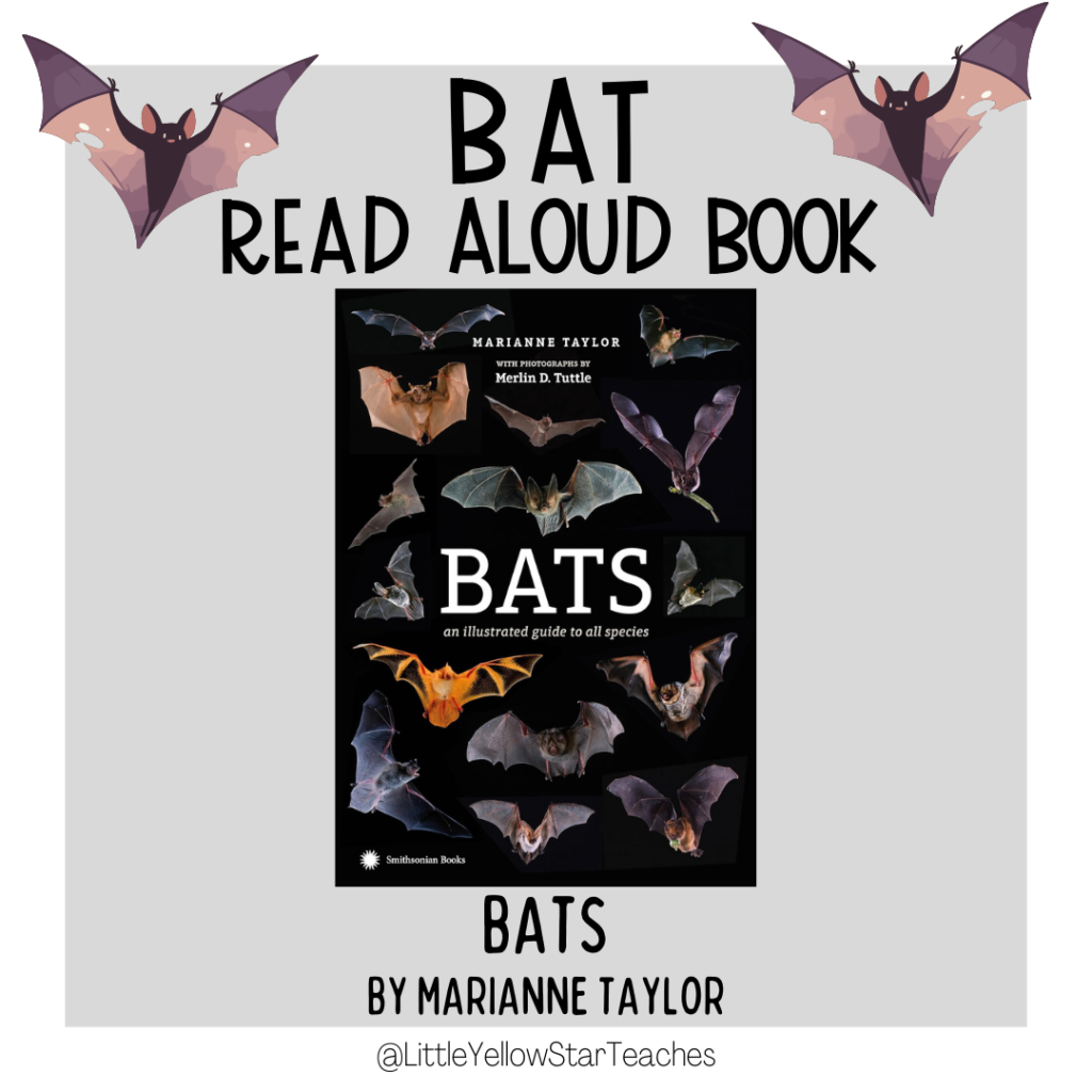 Bat Books for Kids