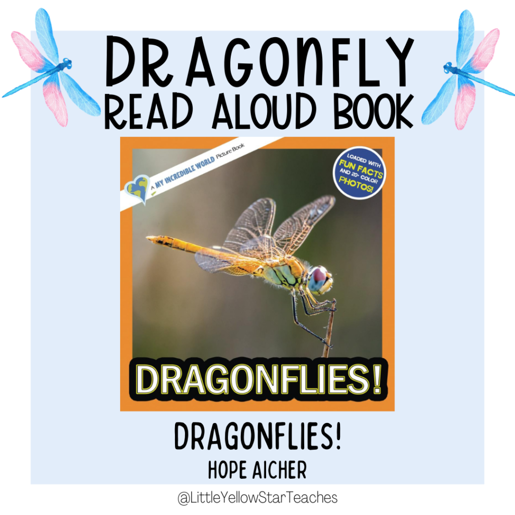 Dragonfly Books for Kids