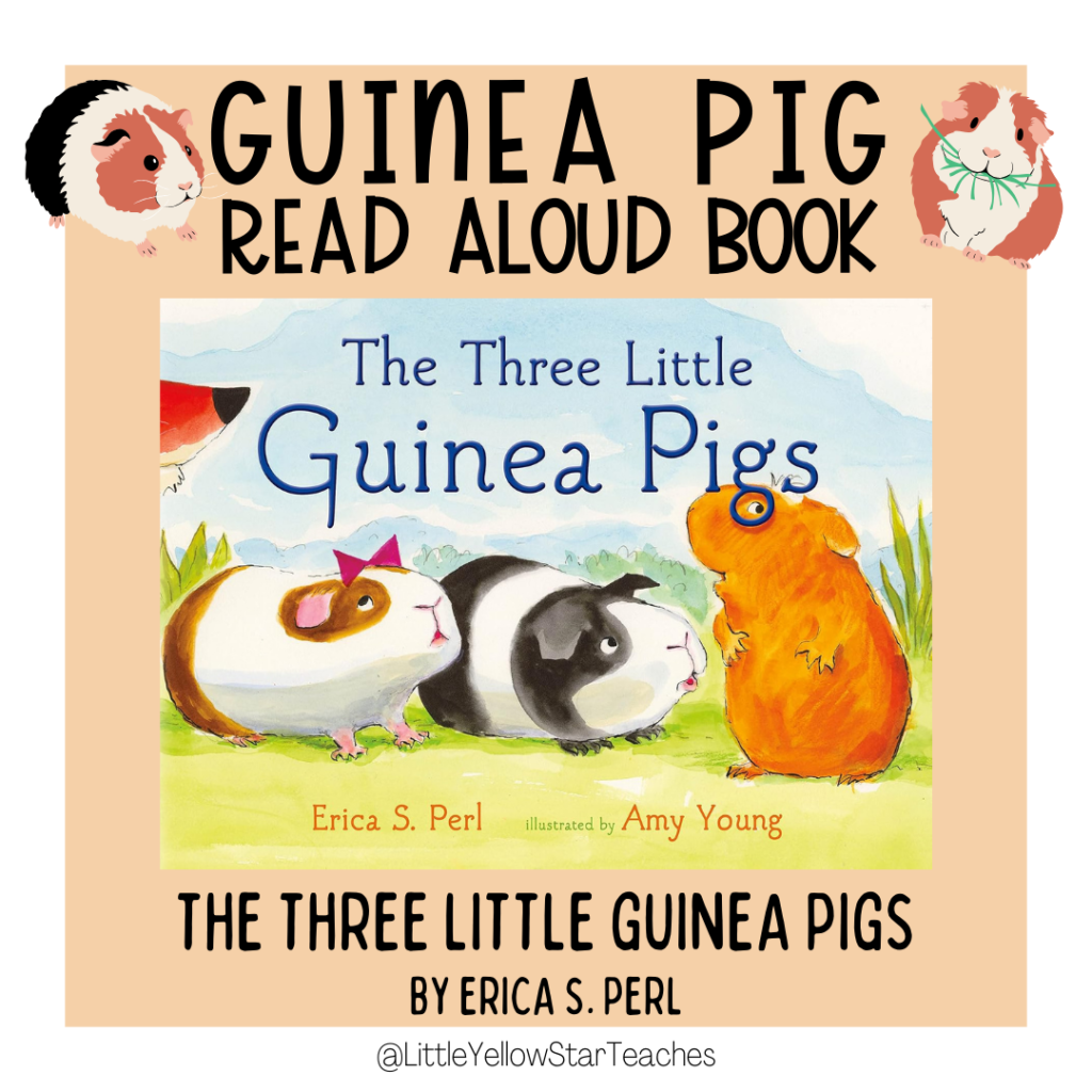 Guinea Pig Books for Kids