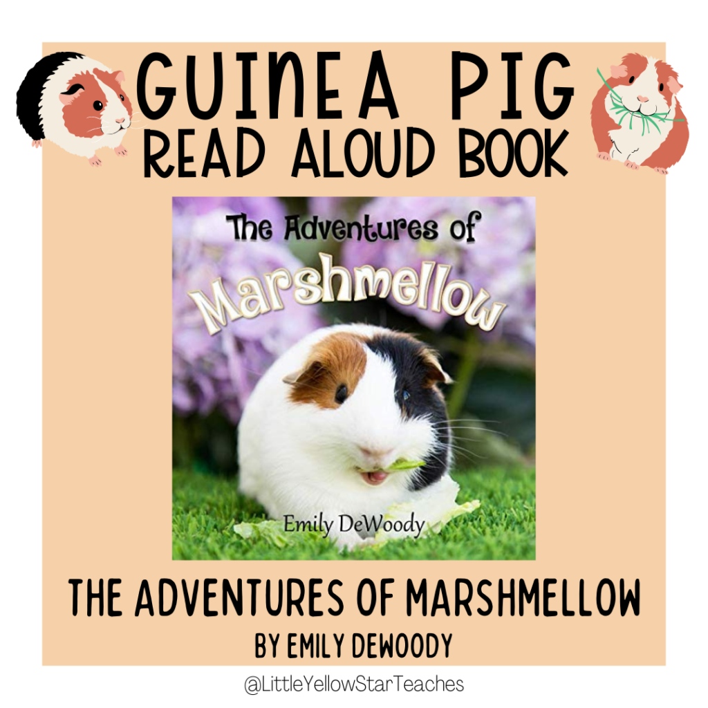 Guinea Pig Books for Kids
