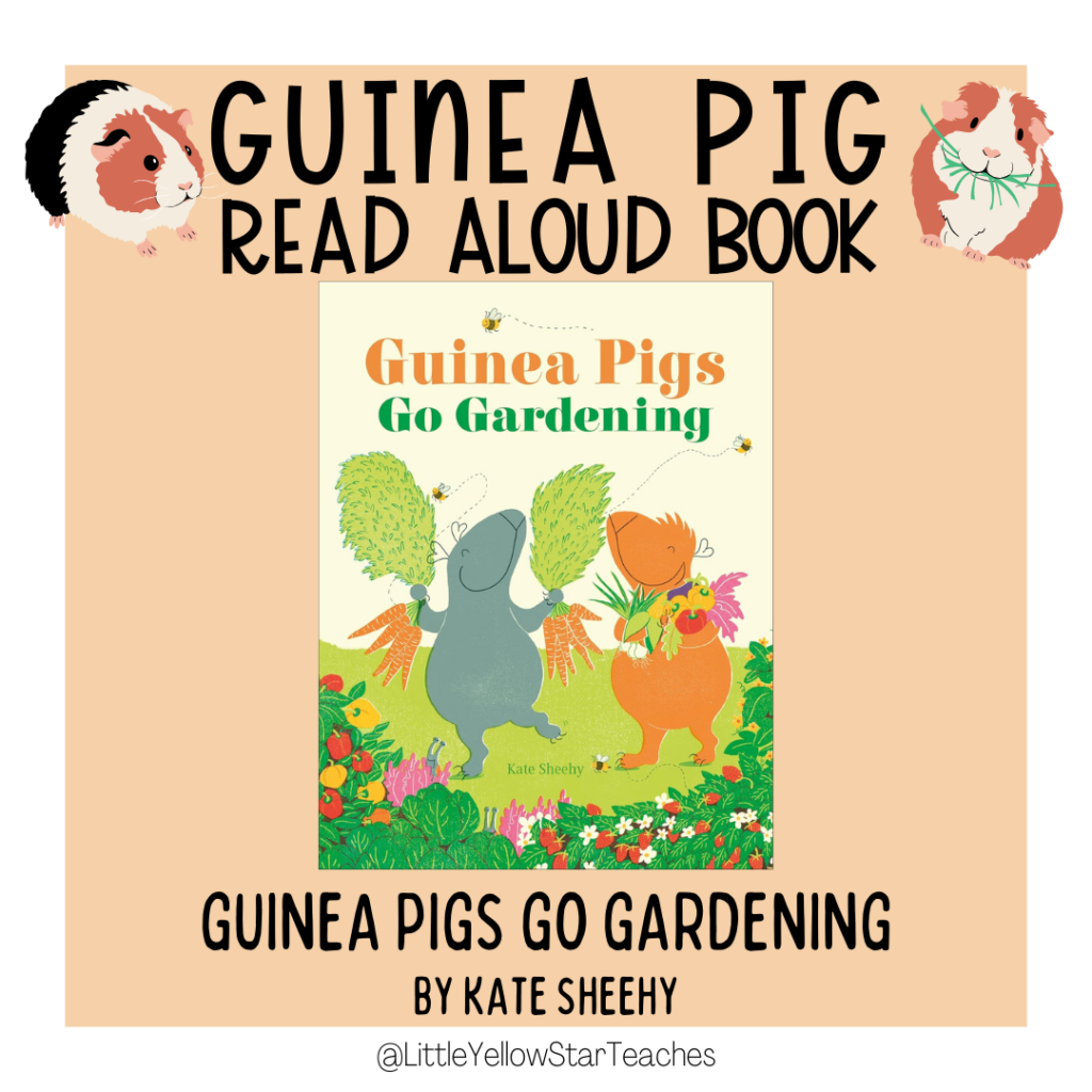 Guinea Pig Books for Kids