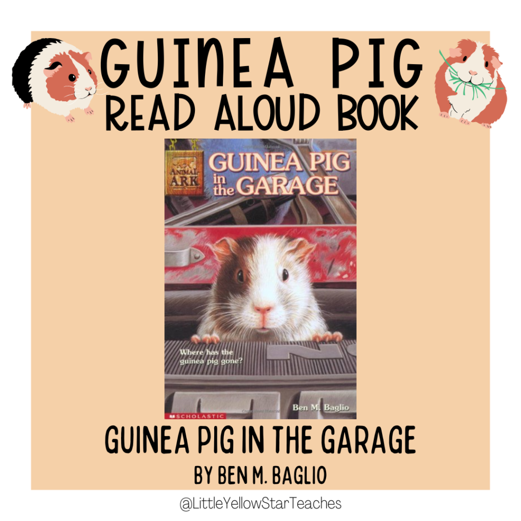 Guinea Pig Books for Kids
