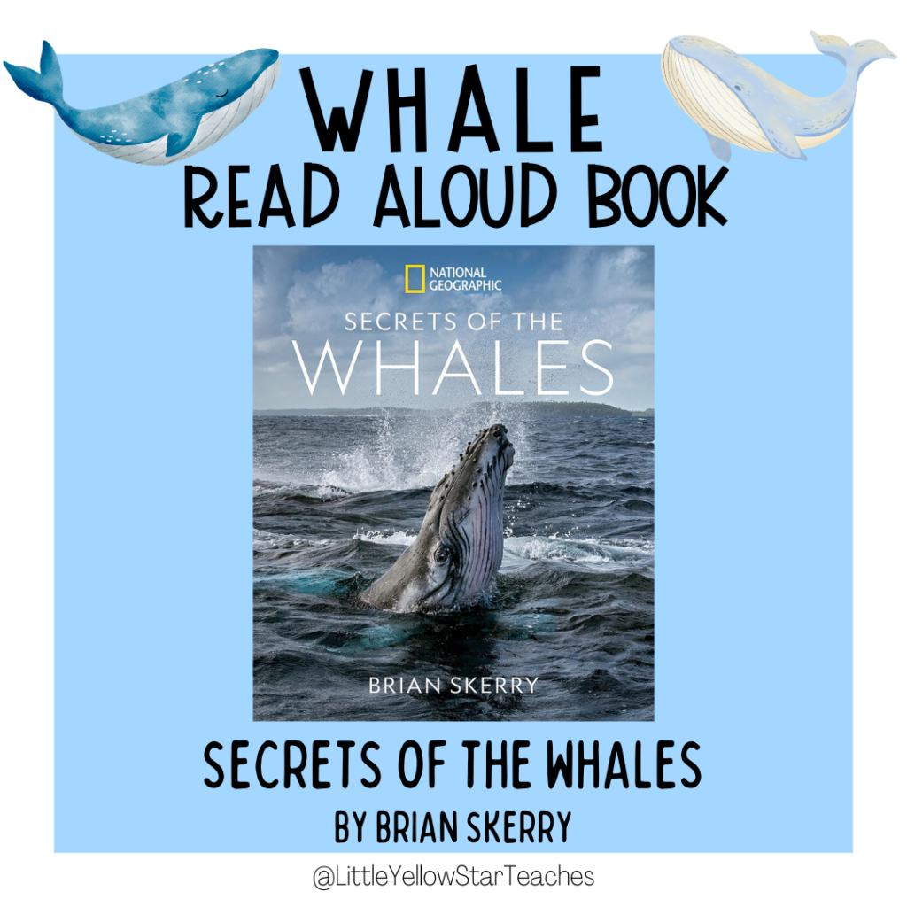 Whale Books for Kids