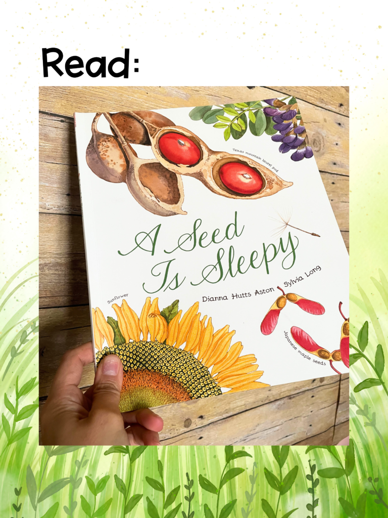A seed is sleepy read aloud lesson book