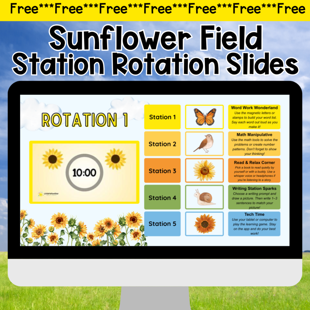 Fall Sunflower station rotation slides