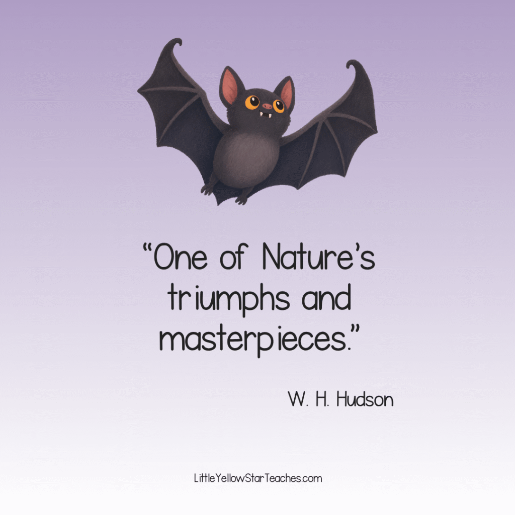 Bat Quotes for Kids