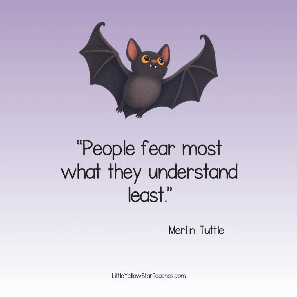 Bat Quotes for Kids