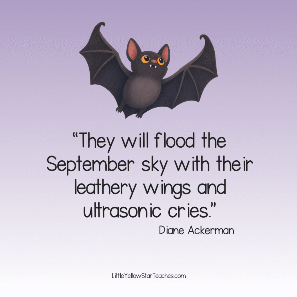 Bat Quotes for Kids