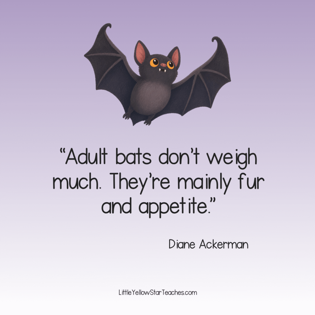 Bat Quotes for Kids