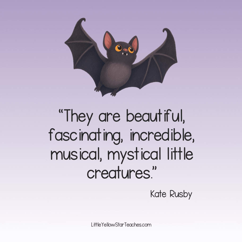 Bat Quotes for Kids