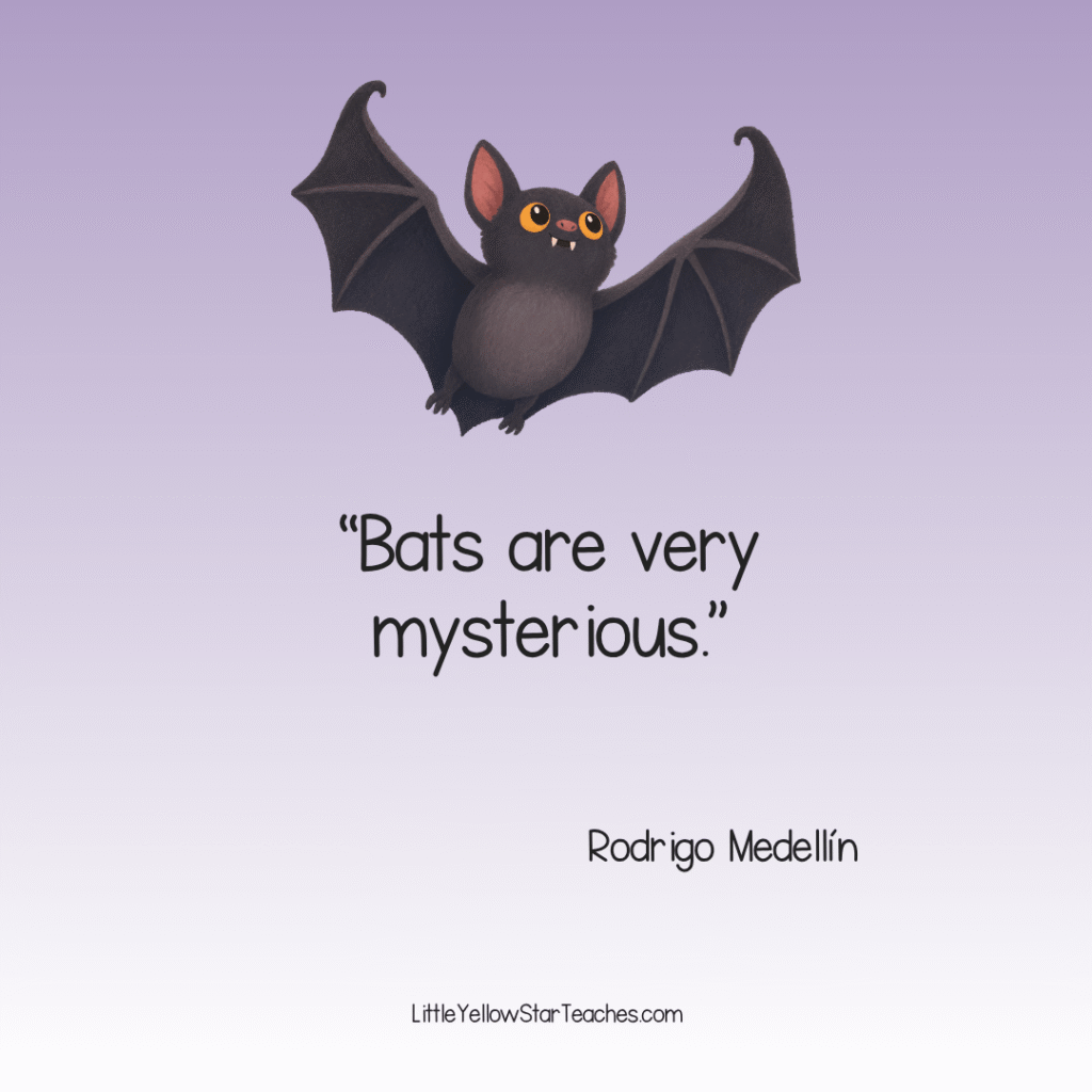 Bat Quotes for Kids